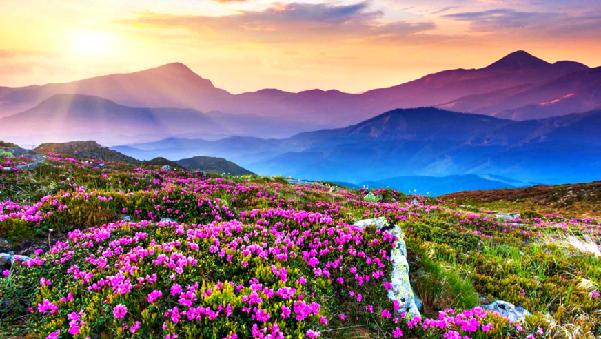 Valley of Flowers Trek